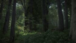Warhorse Studios - Шикарные 4K скриншоты пейзажей Kingdom Come: Deliverance - screenshot 7