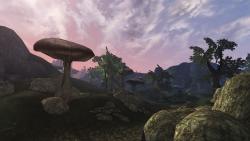 Bethesda Softworks - Эта модификация «значительно» улучшит производительность The Elder Scrolls III: Morrowind - screenshot 5