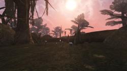 Bethesda Softworks - Эта модификация «значительно» улучшит производительность The Elder Scrolls III: Morrowind - screenshot 6