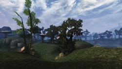 Bethesda Softworks - Эта модификация «значительно» улучшит производительность The Elder Scrolls III: Morrowind - screenshot 3