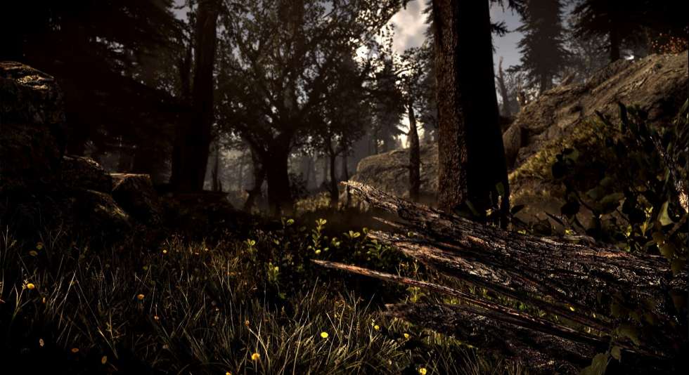Этот мод превращает Содружество из Fallout 4 в густой лес