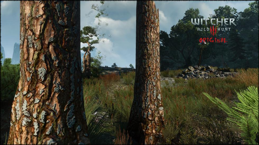 The Witcher 3: Wild Hunt - The Witcher 3: Wild Hunt продолжает хорошеть с новой версией модификации - screenshot 5