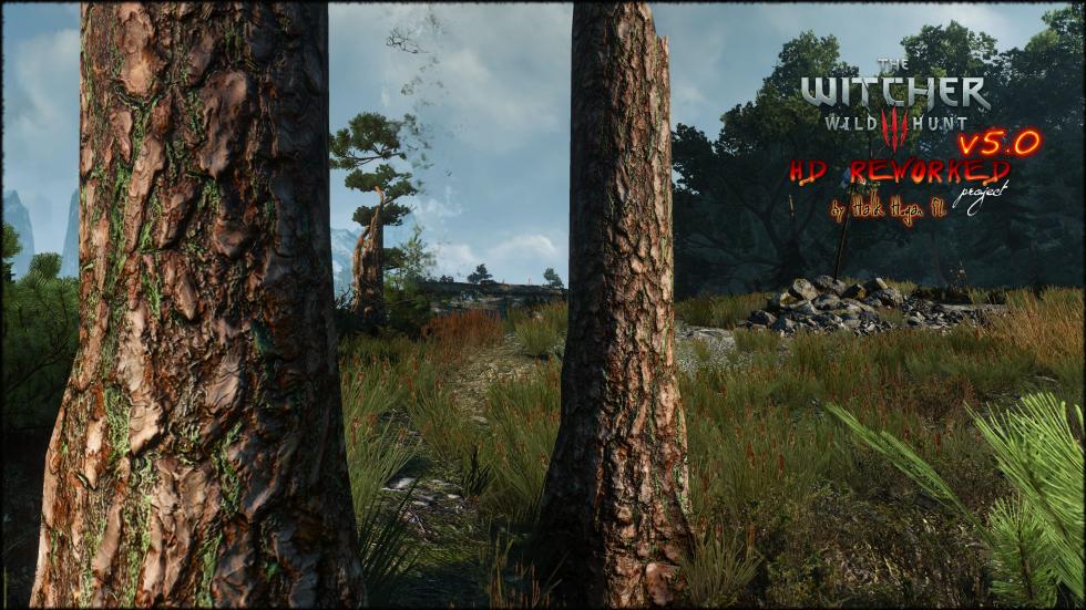 The Witcher 3: Wild Hunt - The Witcher 3: Wild Hunt продолжает хорошеть с новой версией модификации - screenshot 6