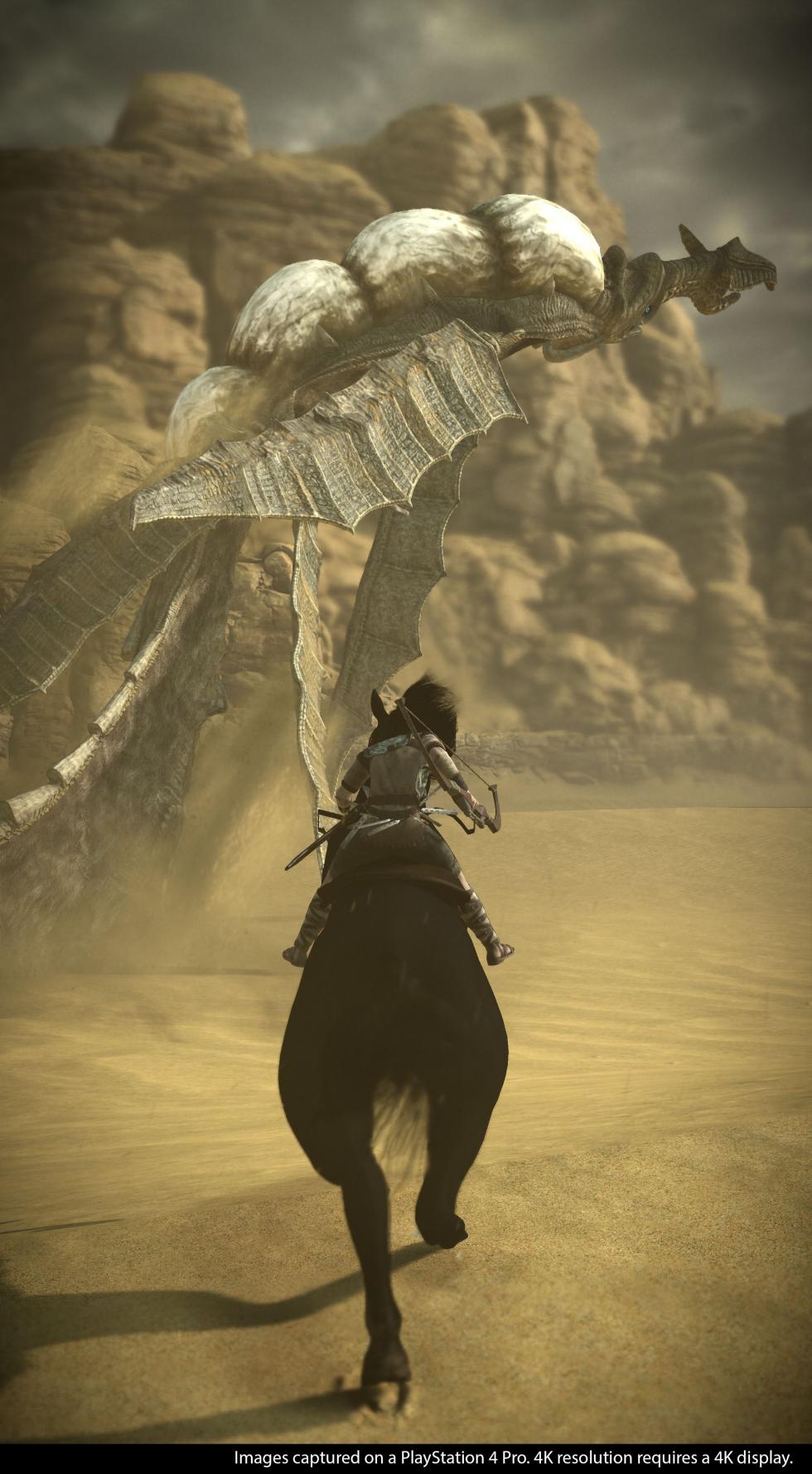 Sony - В ремейке Shadow of the Colossus будет фото-режим - screenshot 4