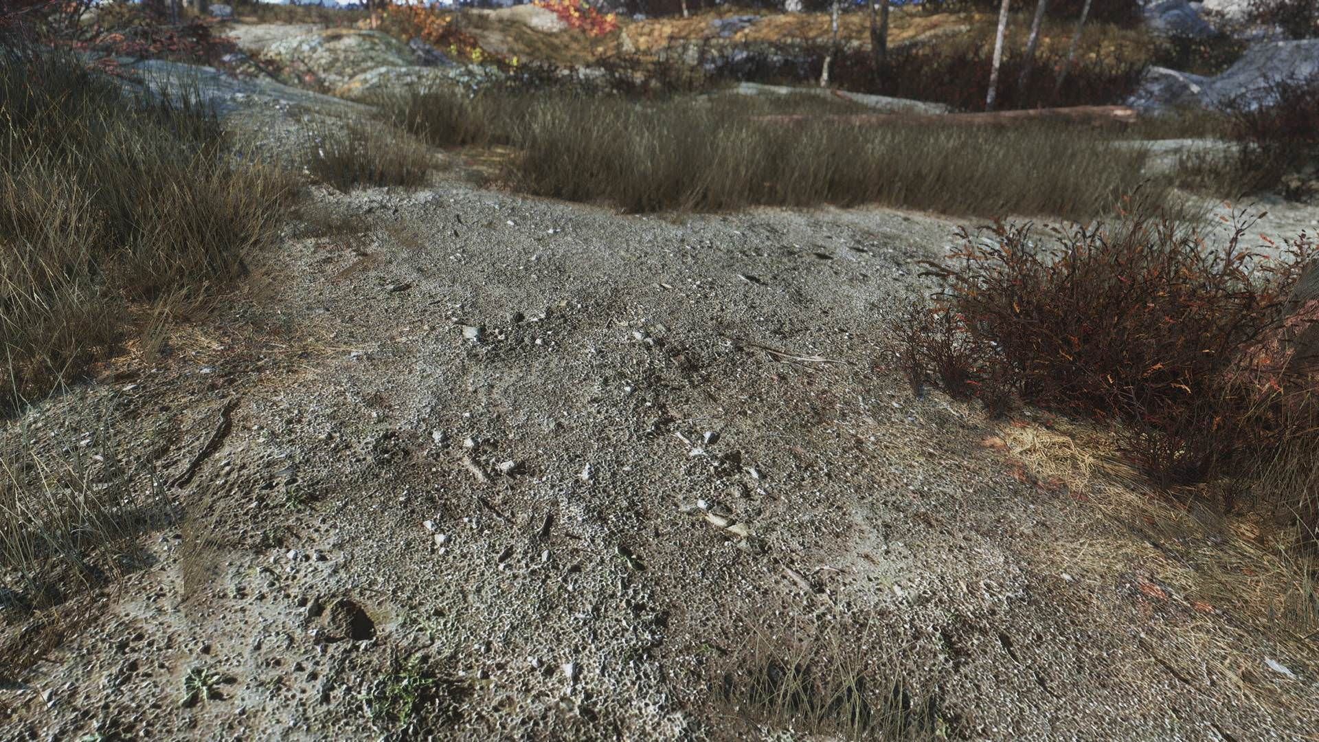 Fallout 4 идеальные текстуры ландшафта фото 70