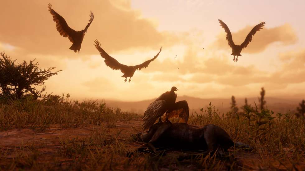 Red Dead Redemption 2 - Больше скриншотов дикой природы из Red Dead Redemption 2 - screenshot 3