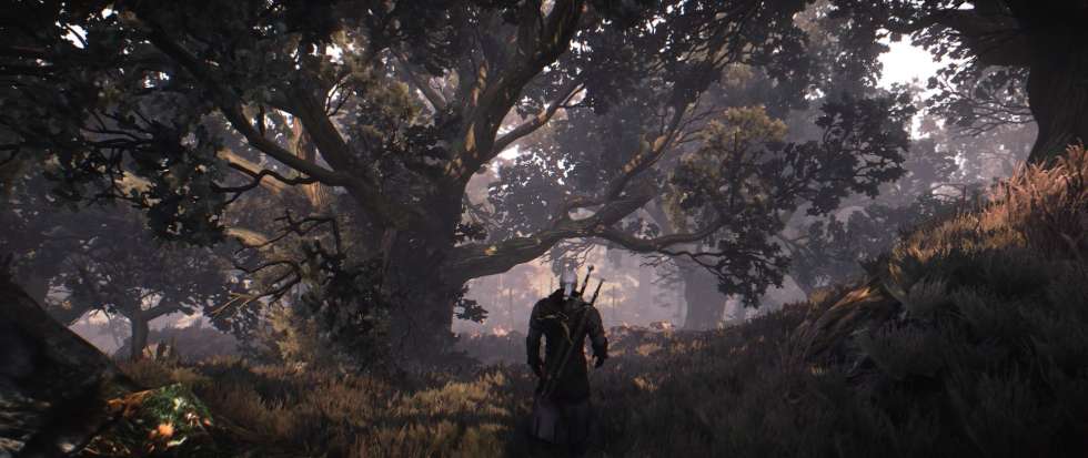Новый пресет Reshade делает The Witcher 3: Wild Hunt невероятной
