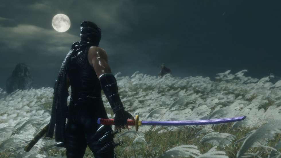 Рю из Ninja Gaiden стал протагонистом Sekiro: Shadows Die Twice благод