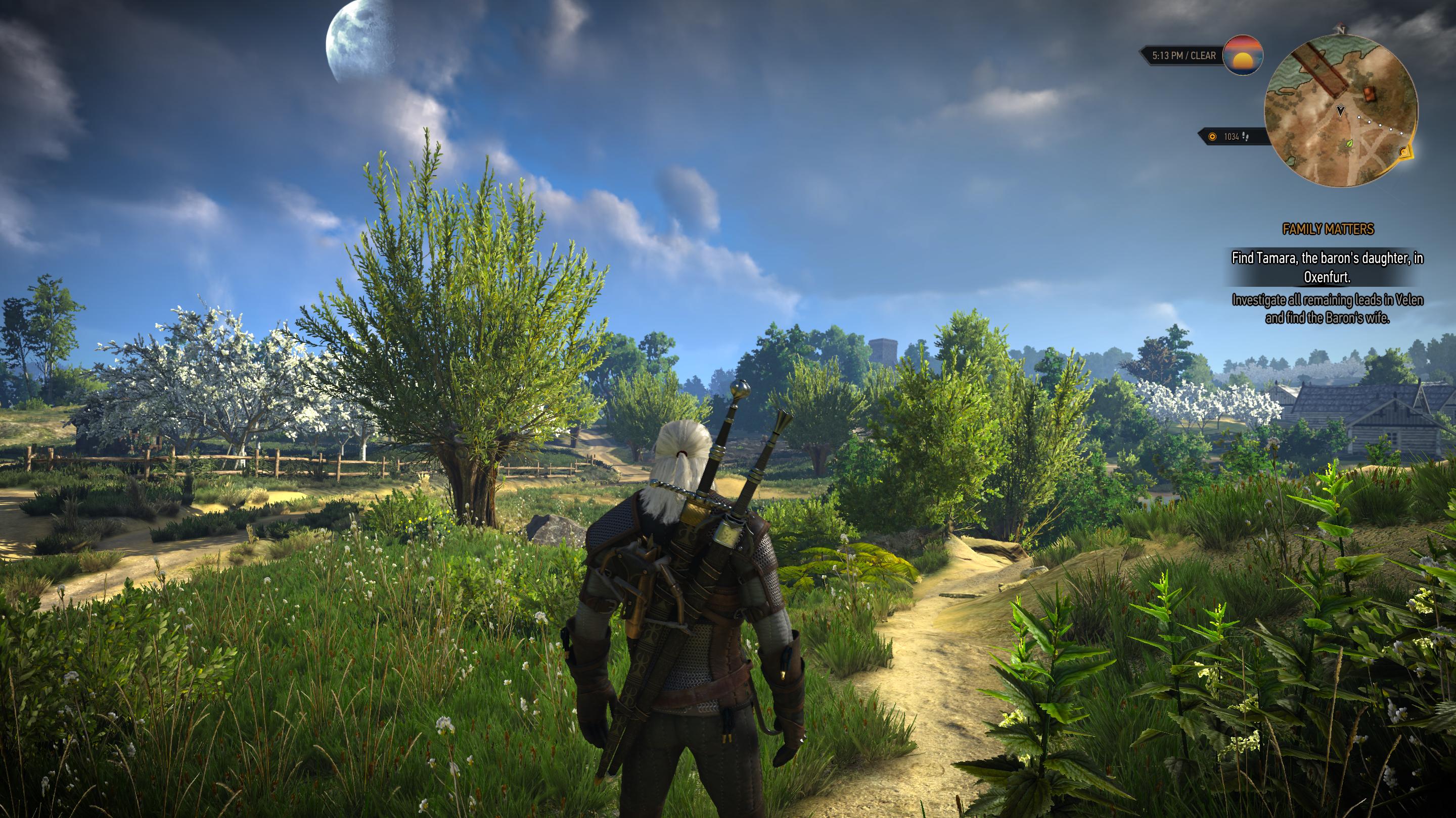 E3 reshade the witcher 3 фото 50