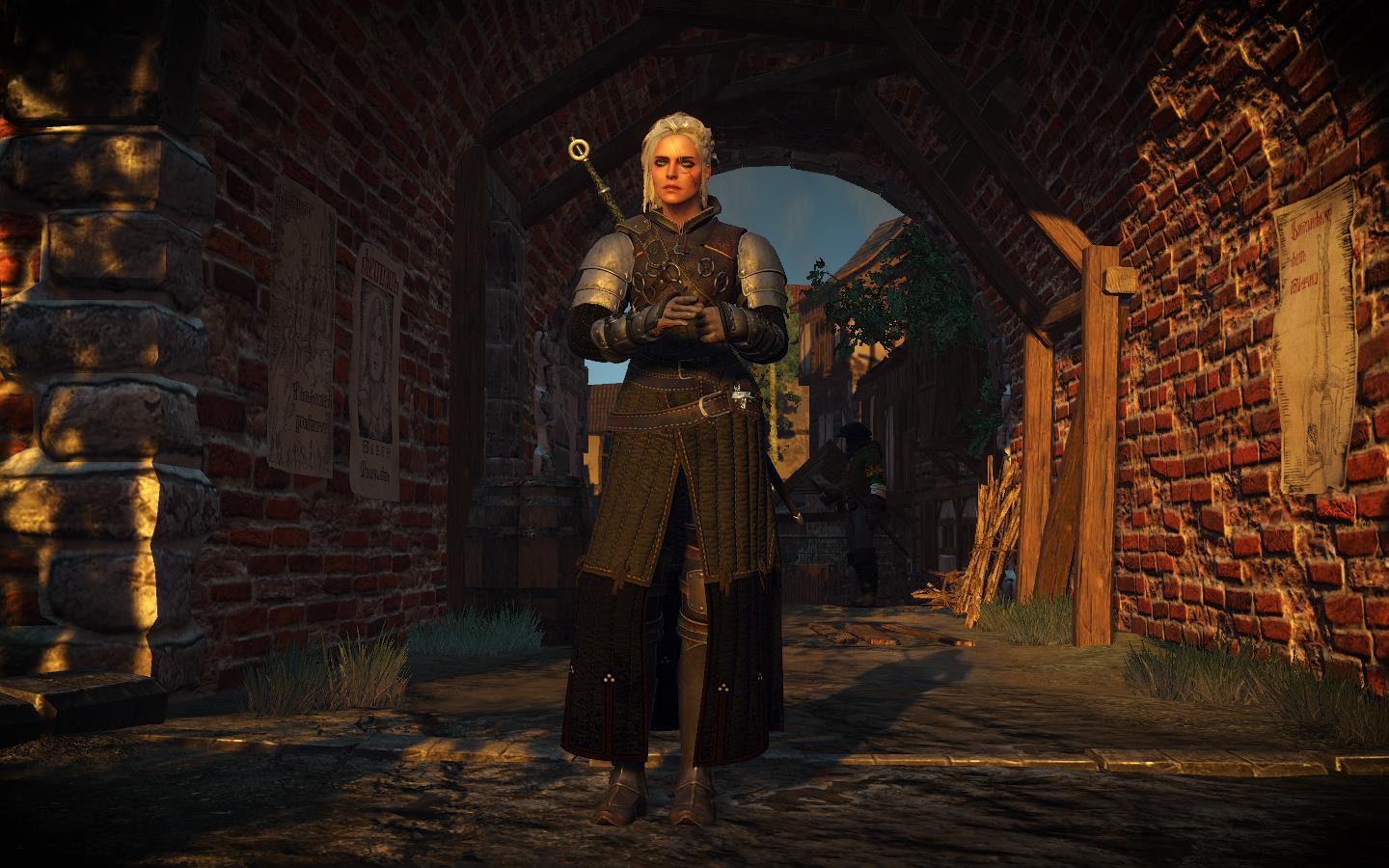The witcher 3 all witcher armor фото 101