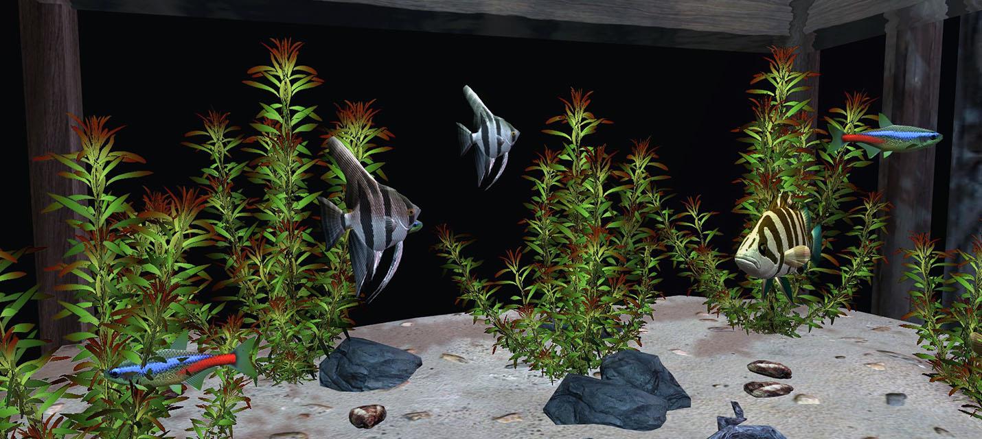 Изображение к В юбилейном издании The Elder Scrolls V: Skyrim появятся аквариумы