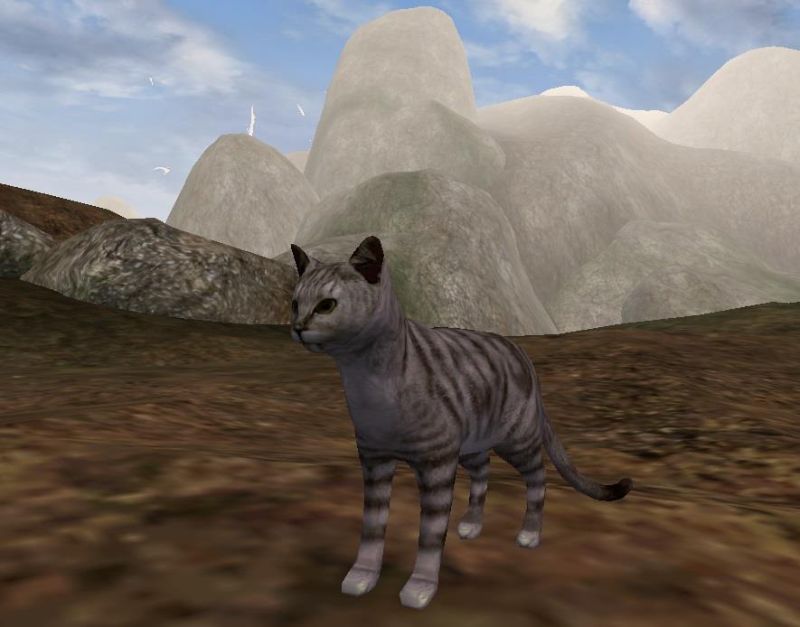 Bethesda Game Studios - Моддер добавил в TES III: Morrowind свою кошку, чтобы та защищала его детей - screenshot 1