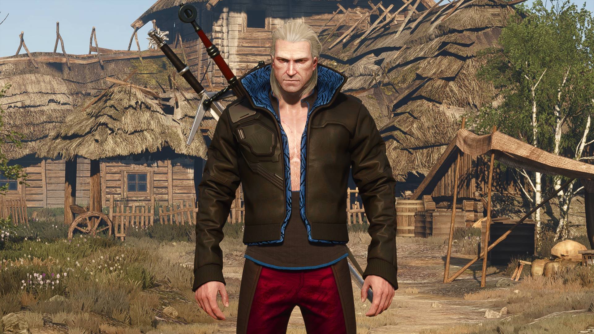 The witcher 3 with geralt doppler фото 49