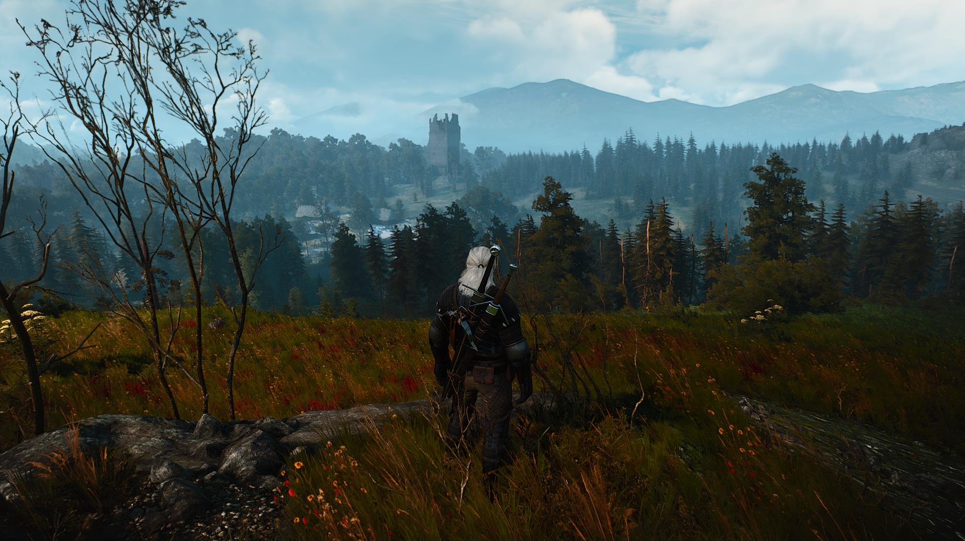 60 fps gui the witcher 3 фото 92