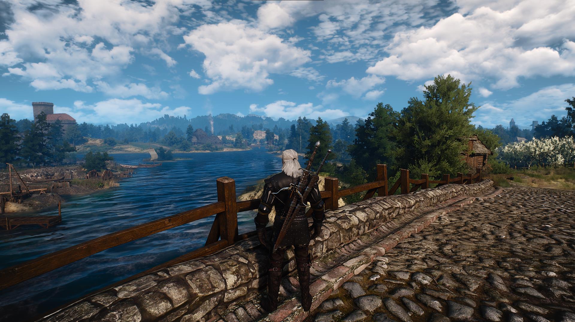 Fps drop the witcher 3 фото 86