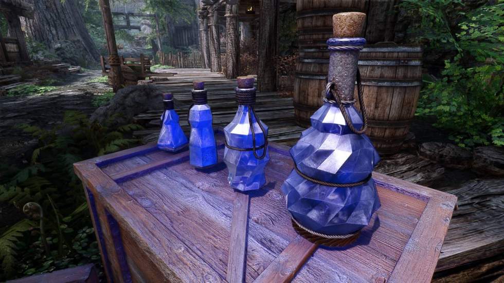 The Elder Scrolls V: Skyrim - Для TES V: Skyrim создали уникальные бутылочки зелий - screenshot 3