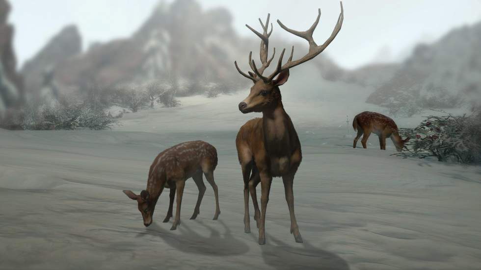 Разработчики Diablo IV знакомят с безобидными животными из Санктуария