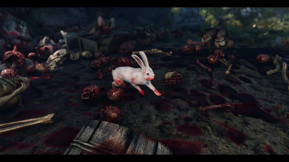The Elder Scrolls V: Skyrim - Осторожно, в Скайриме завелся кролик из Кербаннога - screenshot 3