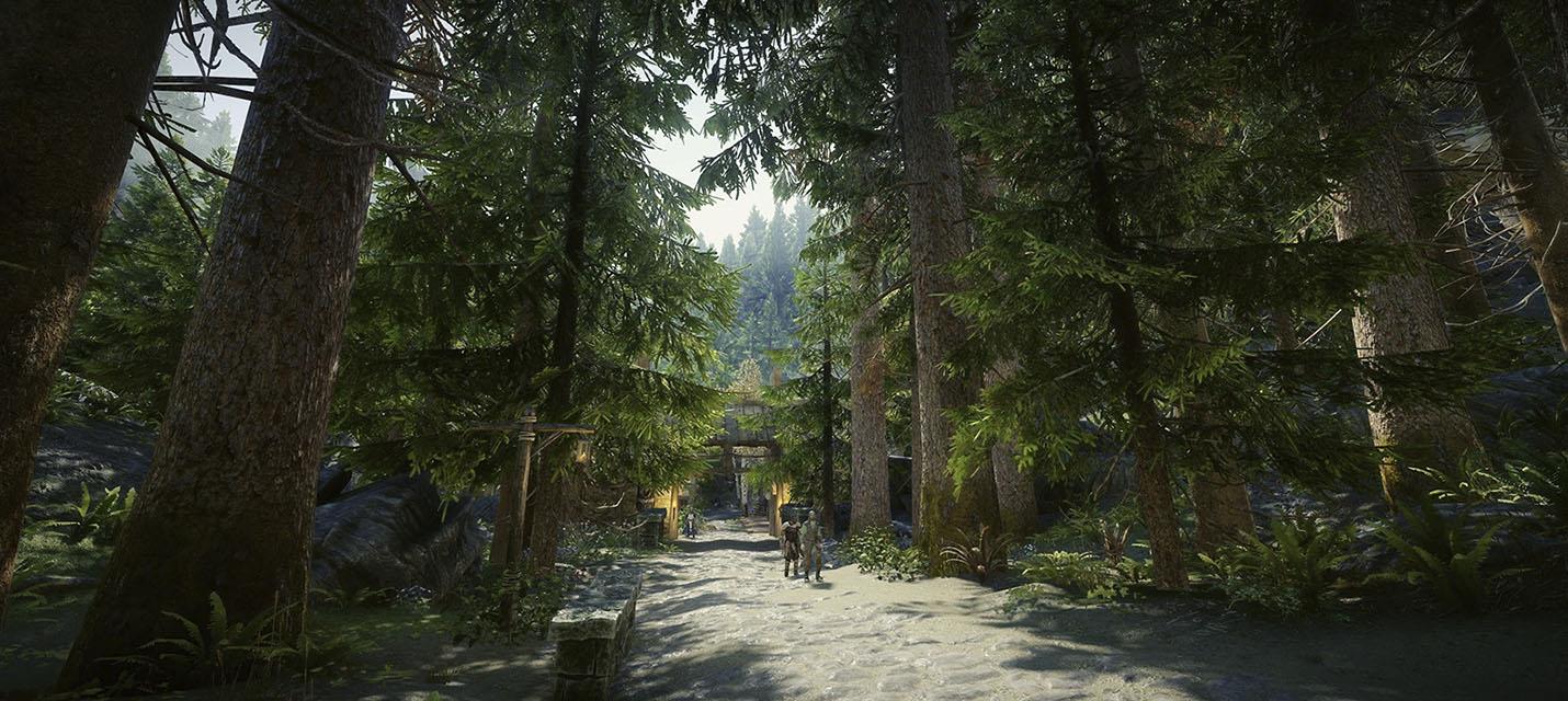 Изображение к В The Elder Scrolls V: Skyrim добавили дремучие леса