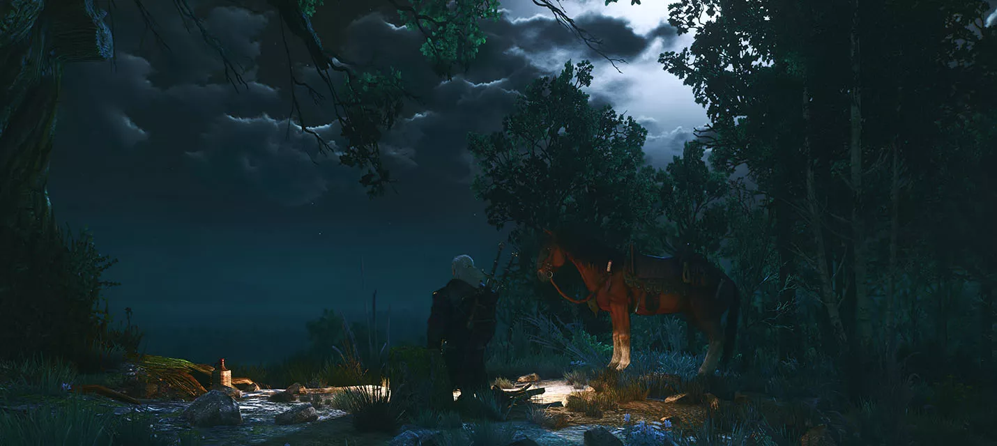 Изображение к Мод удаляет «фальшивое» освещение из кат-сцен в The Witcher 3: Wild Hunt