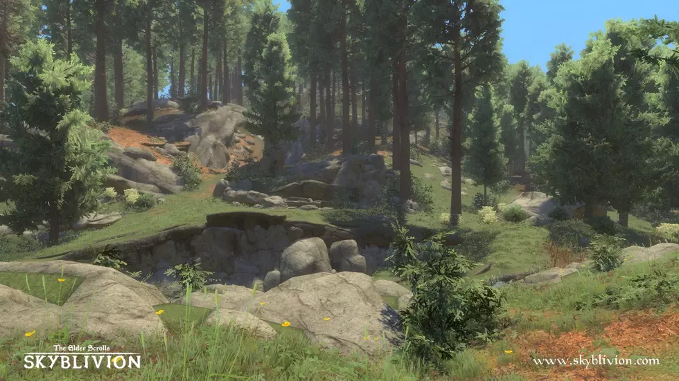 Леса и тропы — скриншоты фанатского ремейка TES IV: Oblivion