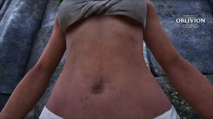 Создатель The Witcher 3 HD Reworked Project выпустил первые моды для ремастера TES IV: Oblivion