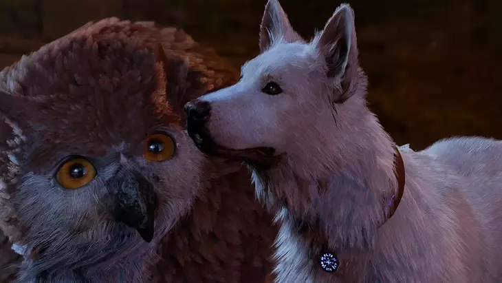 Создатель Jedi: Fallen Order работает над новой игрой по Dungeons and Dragons