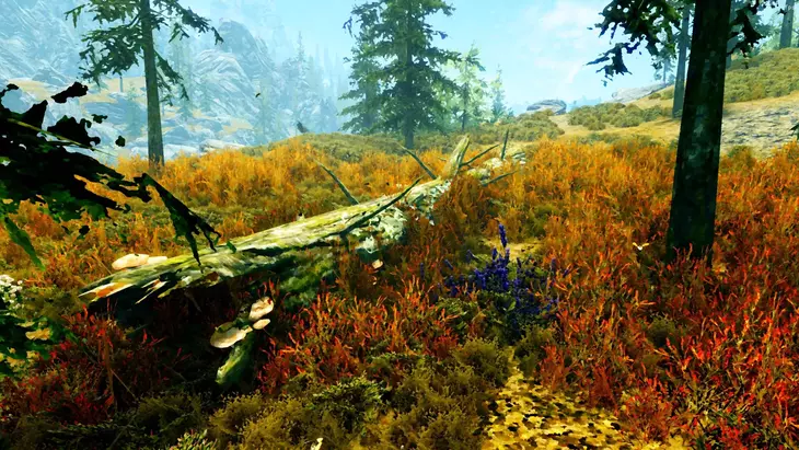 Мод превращает TES V: Skyrim в живую картину