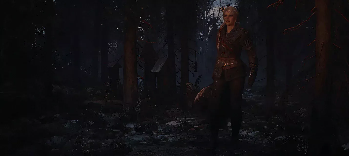 CD Projekt RED намекнула на му...