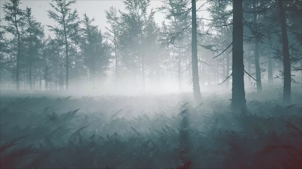 Авторы Ghost of Yōtei рассказывают о возможностях фоторежима и показывают результат