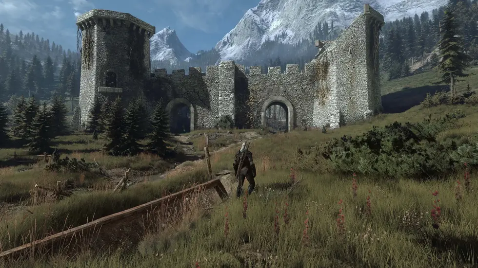 Для The Witcher 3 вышел масштабный мод, полностью перерабатывающий траву во всех регионах