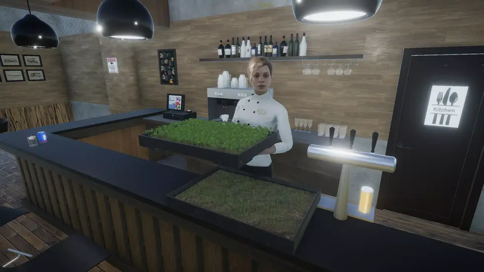 Авторы симулятора управления отелем в Арктике работают над симулятором фермера на арктическом острове