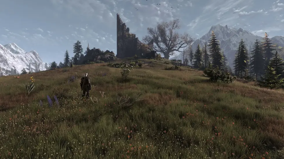 Для The Witcher 3 вышел масштабный мод, полностью перерабатывающий траву во всех регионах