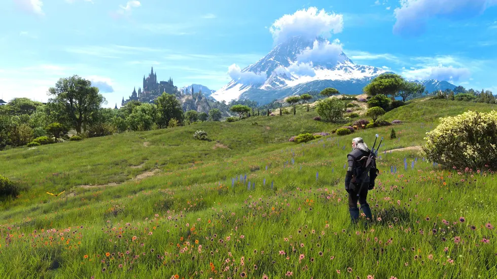 Для The Witcher 3 вышел масштабный мод, полностью перерабатывающий траву во всех регионах