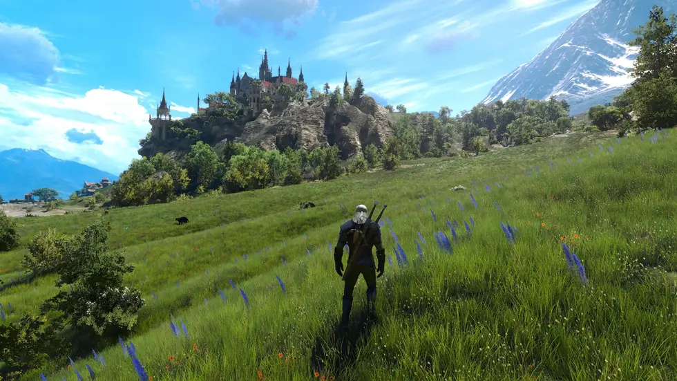 Для The Witcher 3 вышел масштабный мод, полностью перерабатывающий траву во всех регионах