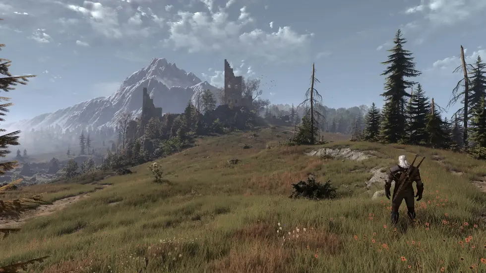 Для The Witcher 3 вышел масштабный мод, полностью перерабатывающий траву во всех регионах