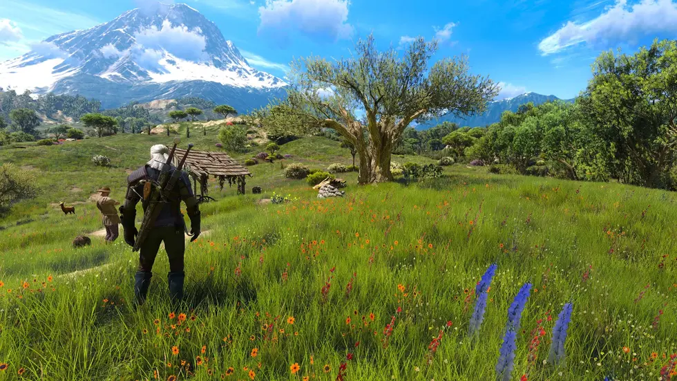 Для The Witcher 3 вышел масштабный мод, полностью перерабатывающий траву во всех регионах