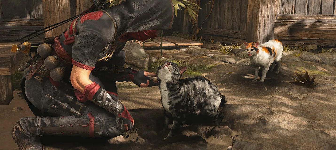 Assassin’s Creed Shadows получ...