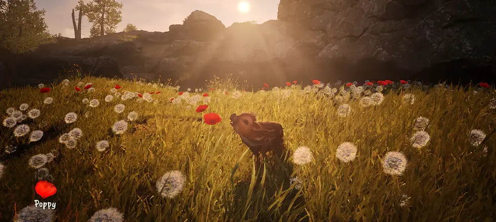 Адвенчура Adorable Adventures выйдет 30 апреля