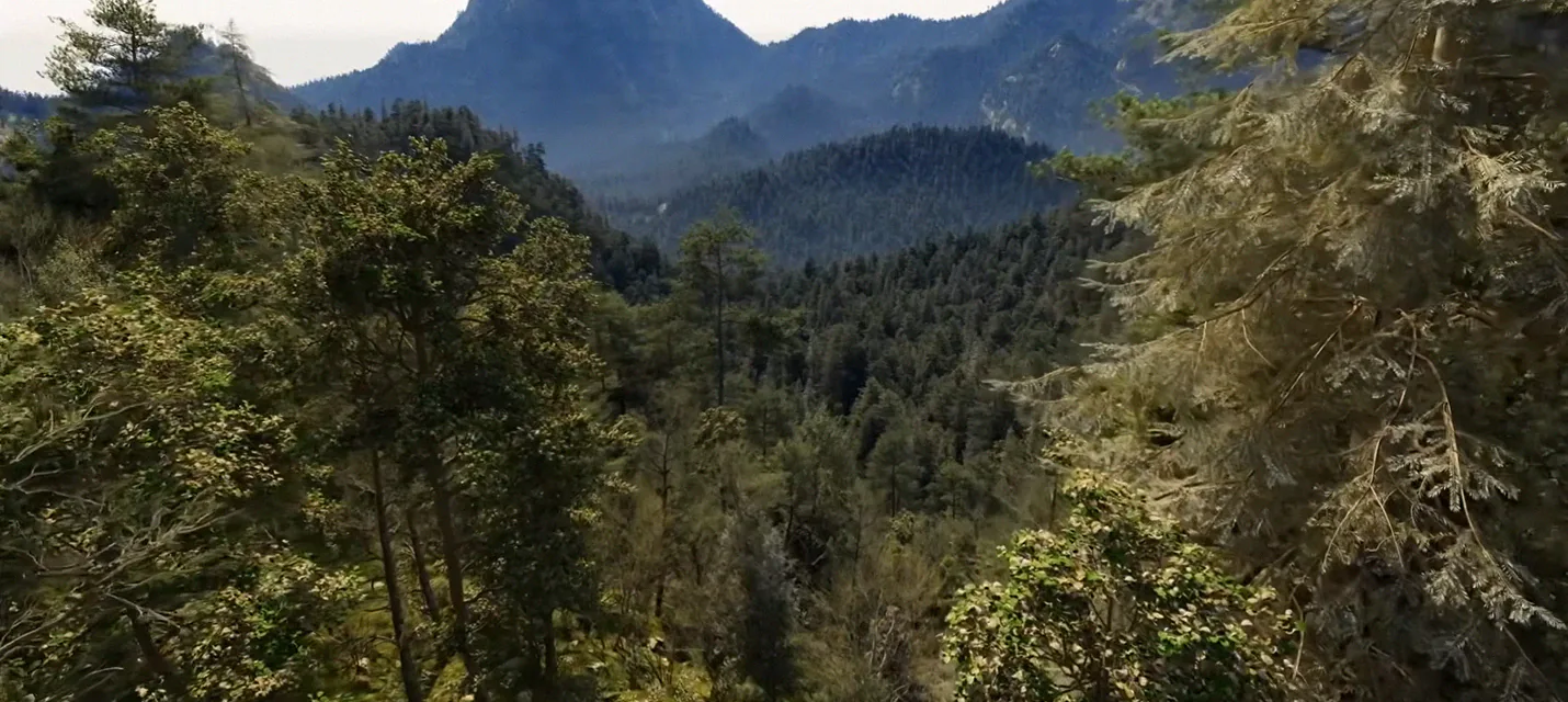 Технодемо The Witcher IV показало 80 FPS в 4K с трассировкой — но на RTX 5090