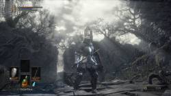 Dark Souls 3 - Скриншоты Dark Souls 3 на максимальных и минимальных настройках графики - screenshot 6
