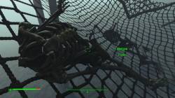 Fallout 4 - Мистические вещи, которые скрывает Fallout 4: Far Harbor под водой - screenshot 4