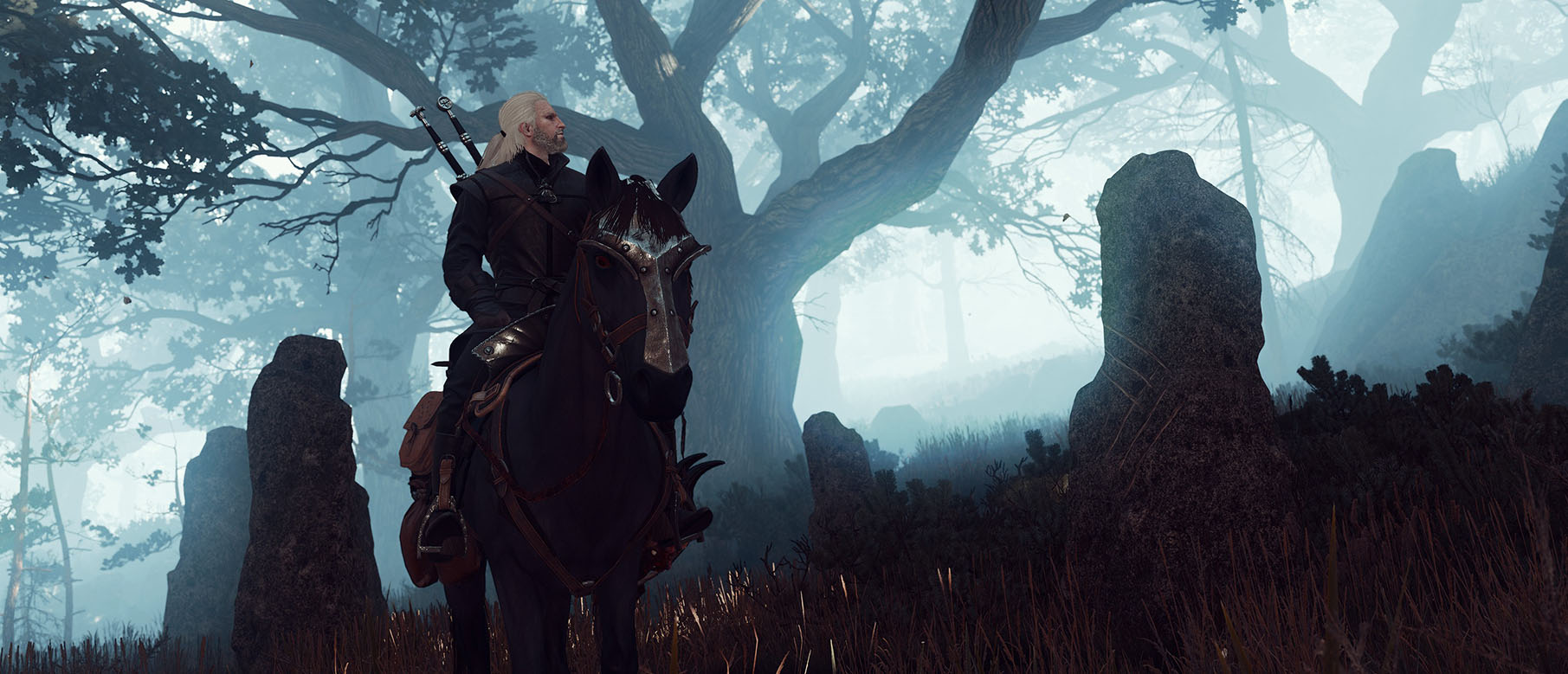 The witcher 3 blood and wine обои фото 88
