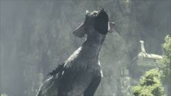 PS4 - Свежий геймплей и новые скриншоты The Last Guardian - screenshot 3