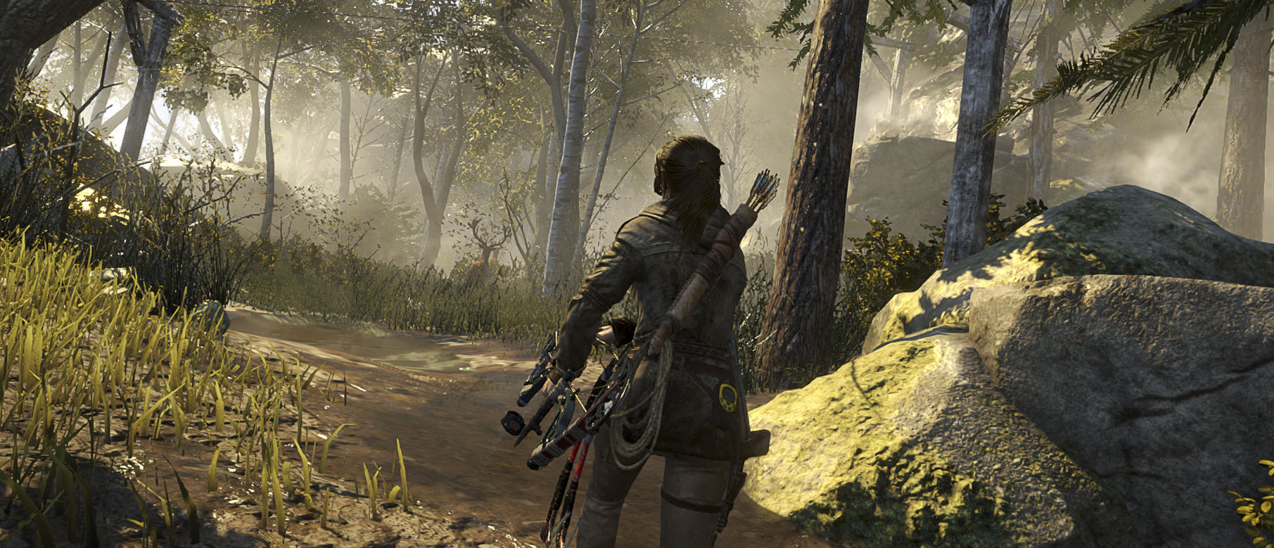 Изображение к Слух: Защита Rise of the Tomb Raider пала под натиском хакера