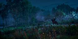 The Witcher 3: Wild Hunt - Как бы выглядел The Witcher 3 если бы использовал сэл-шейдинговую графику - screenshot 11