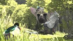 PS4 - Новые скриншоты PS4 эксклюзива The Last Guardian - screenshot 4