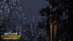 CD Projekt Red - Группа моддеров создают игру о последнем приключении Геральта на движке The Witcher 2 - screenshot 8