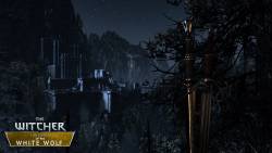 CD Projekt Red - Группа моддеров создают игру о последнем приключении Геральта на движке The Witcher 2 - screenshot 6
