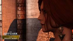 CD Projekt Red - Группа моддеров создают игру о последнем приключении Геральта на движке The Witcher 2 - screenshot 9